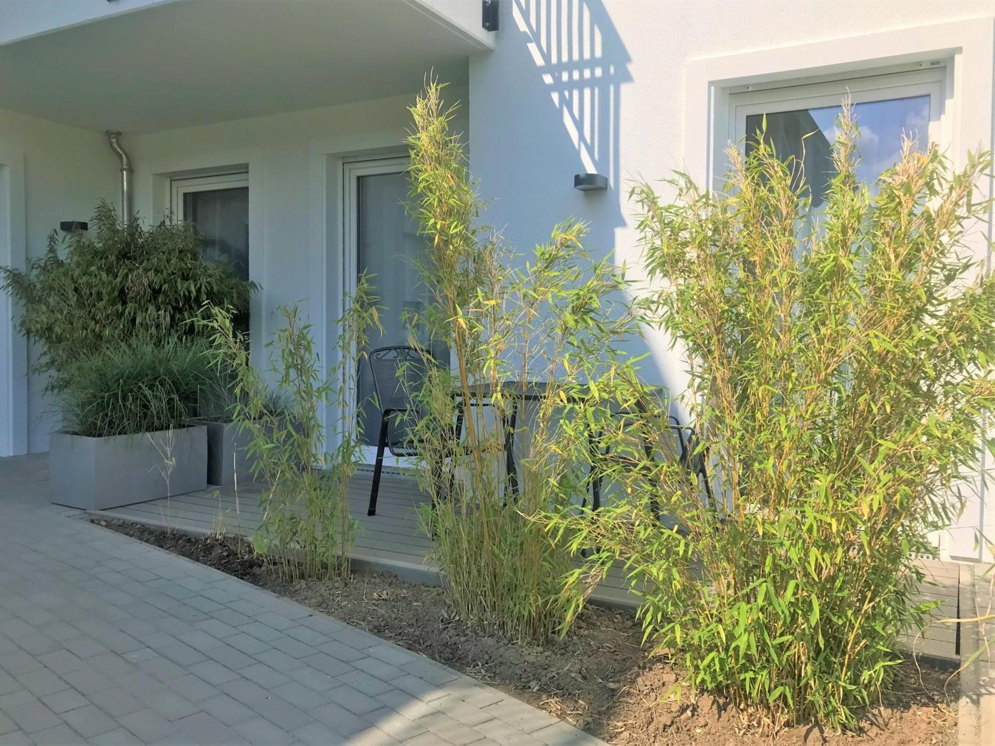 App 6, Strandresidenz Duenenperle Ostseebad Kühlungsborn Exterior foto